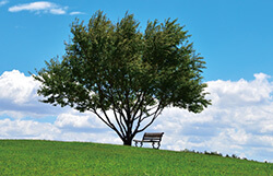 治療しないと失明も…　気づかず進行する目の病気