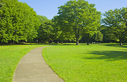 足の親ゆびが曲がり、痛むことも…　ジョギングを行っても問題ない？