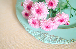 74�΂̕�ɓ����񂪌��������B��p��R����򎡗Â͕K�v�H