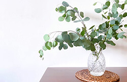 68�΂̕����⒮��̎g�p�����₪��B��͔F�m�ǂ̃��X�N�����߂�ƕ����s��