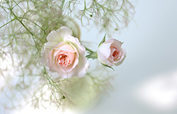 ２年間、妊活をつづけても妊娠しない。男性の自分にも原因がある?